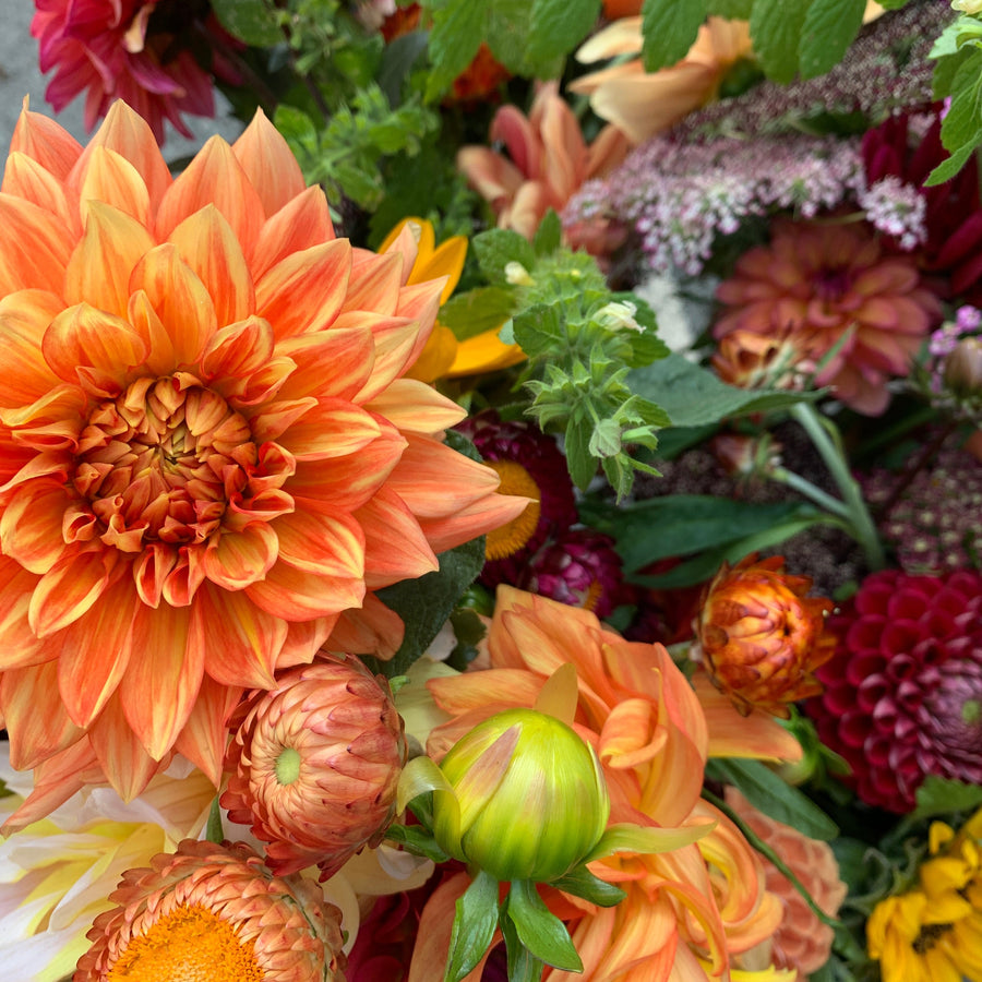 Weekly Summer Flower CSA: 8 Bouquets Total