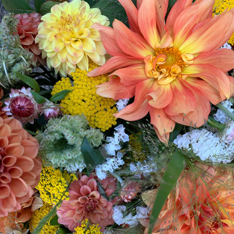 Bi-Weekly Summer Flower CSA: 5 Bouquets Total