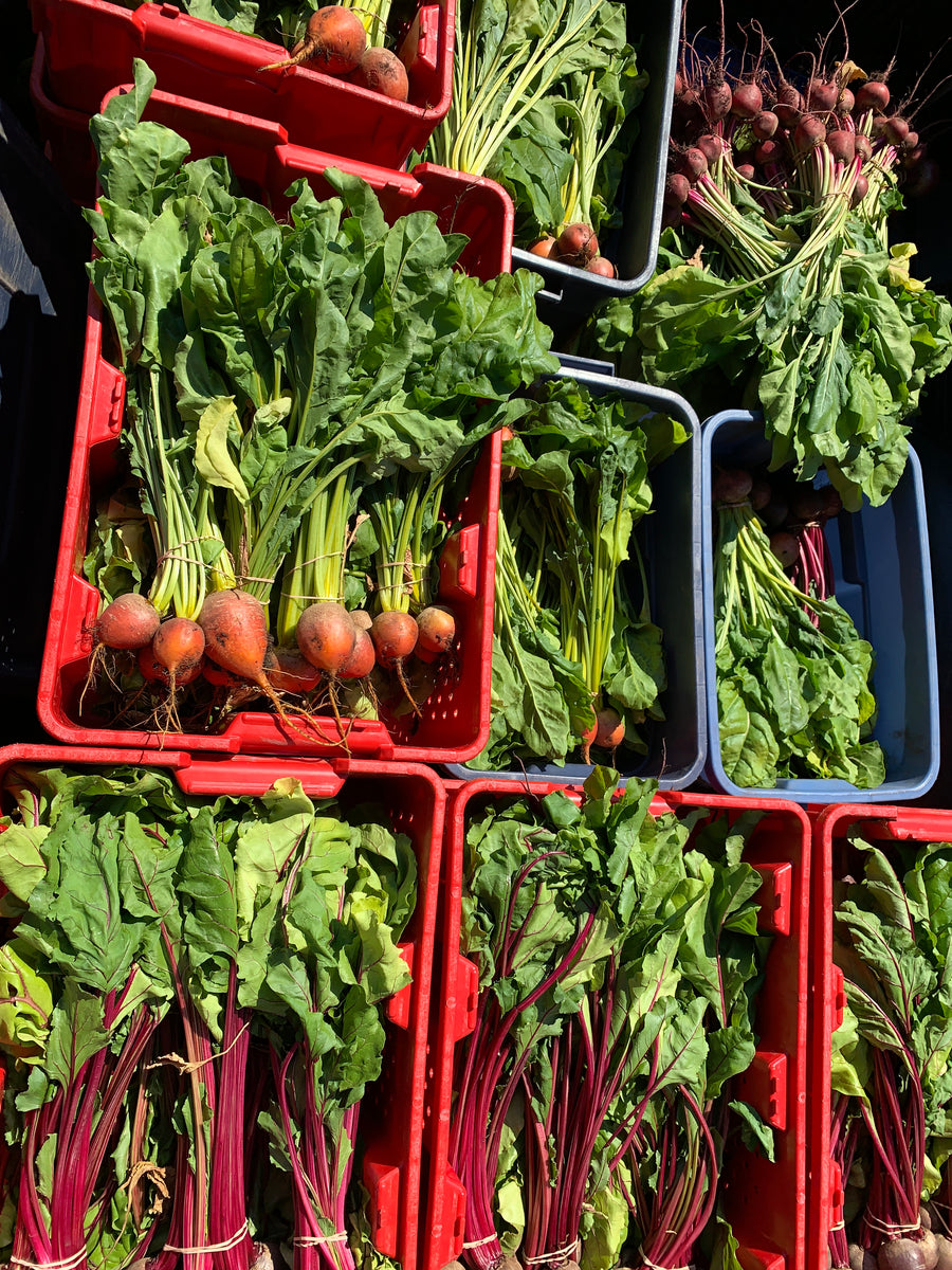 Beets (bunch)