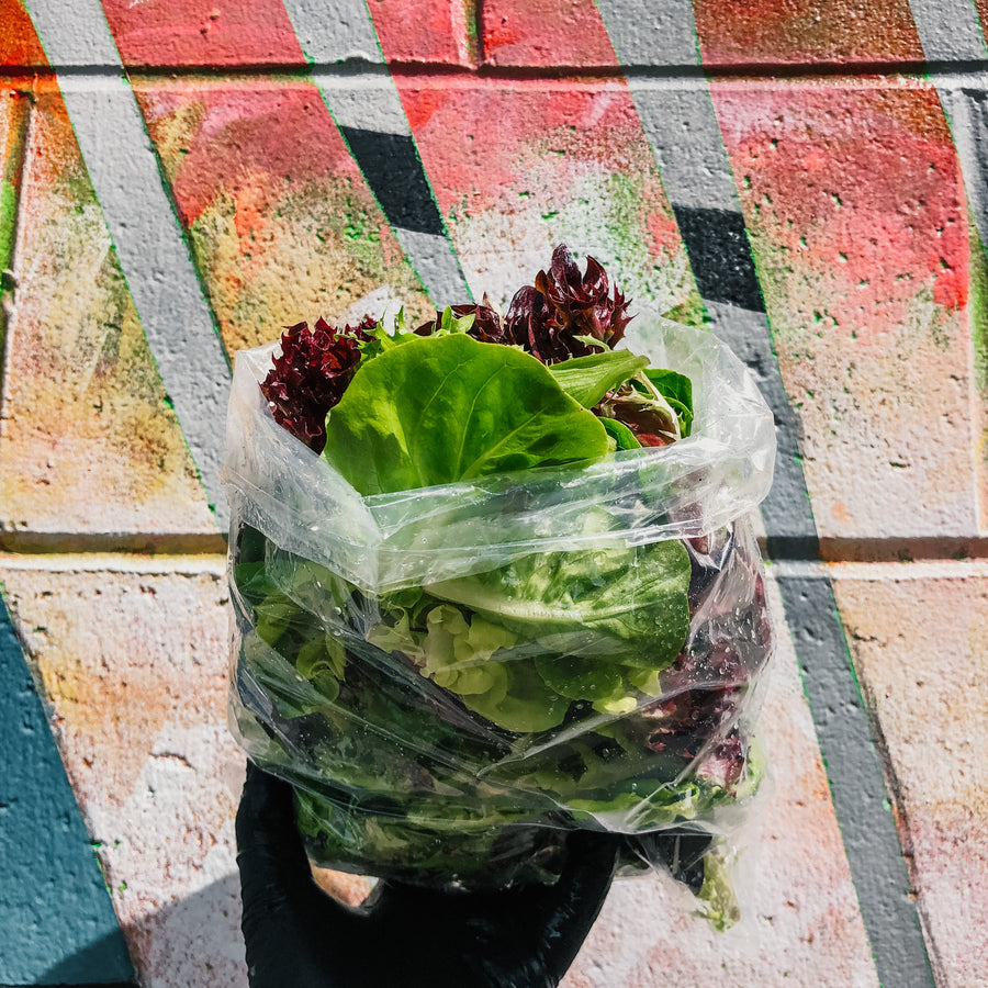 Salad Mix (1/2 lb)