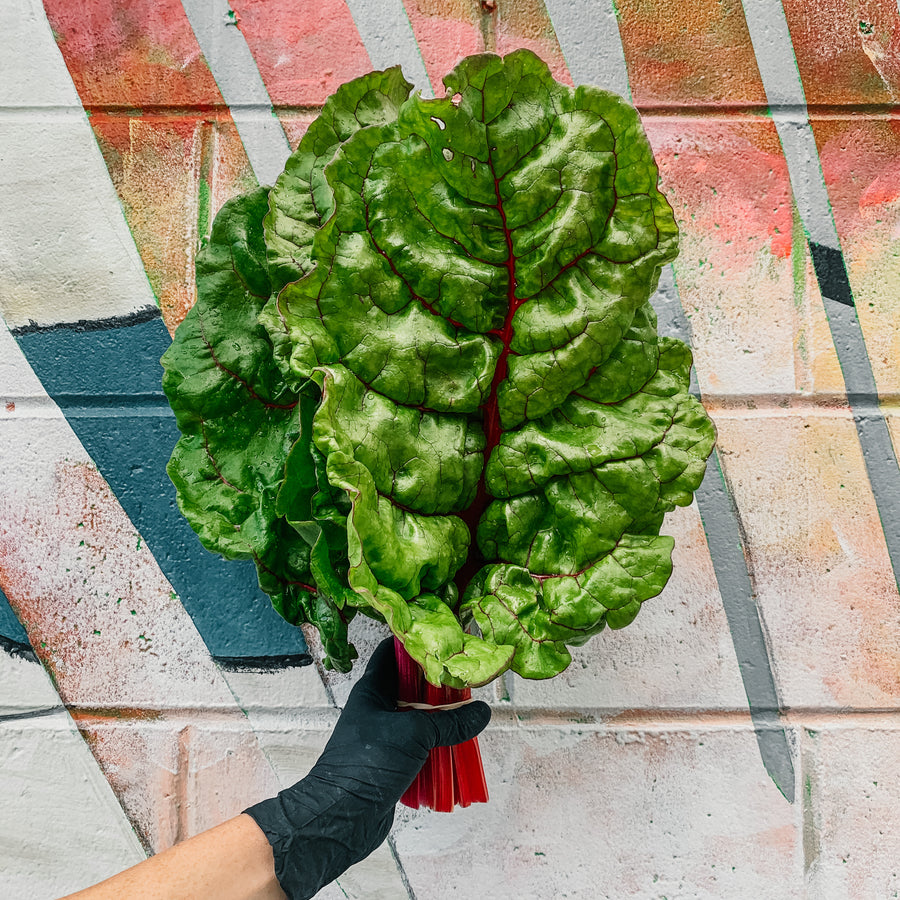 Swiss Chard (Bunch)