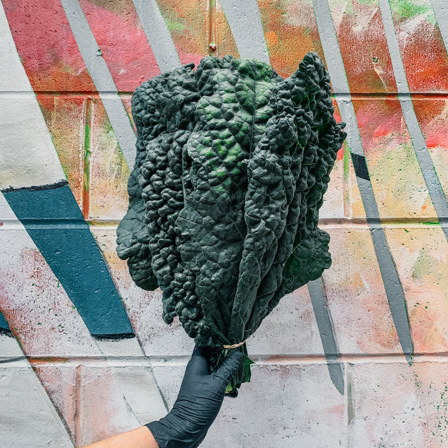 Lacinato Kale