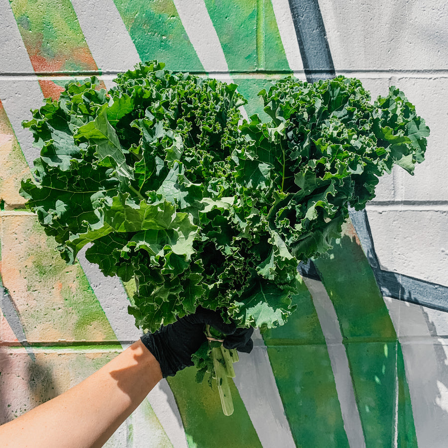 Curly Kale