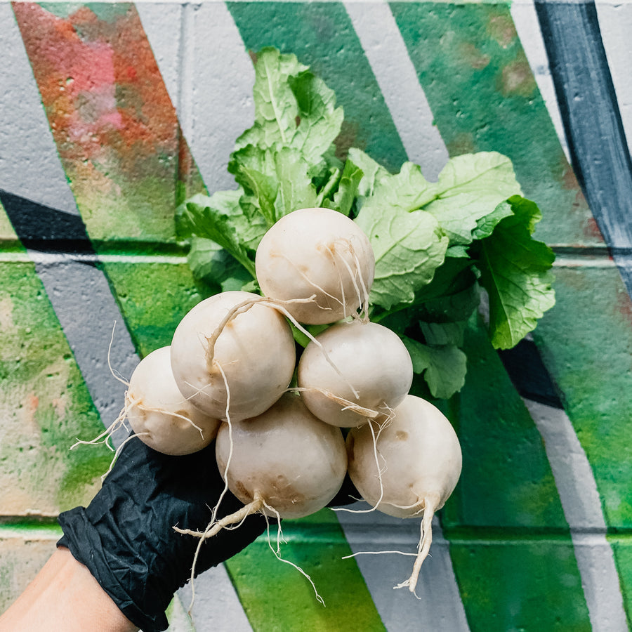 Hakurei Turnips (Bunch)